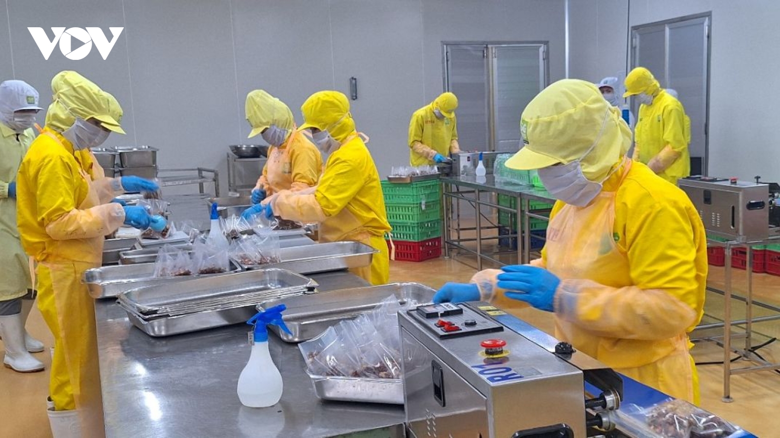 Thị trường Halal: Cơ hội bứt phá cho nông sản Việt Nam